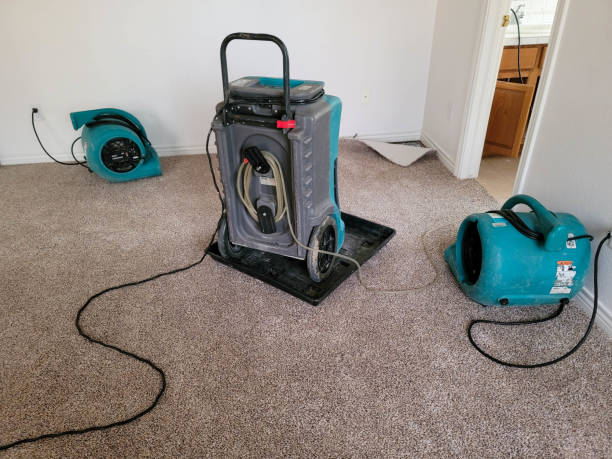 Best Mold removal after water damage  in Wellsville, KS
