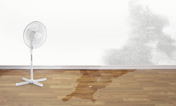 Best Flood damage cleanup  in Wellsville, KS