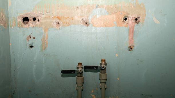 Best Water damage restoration near me  in Wellsville, KS